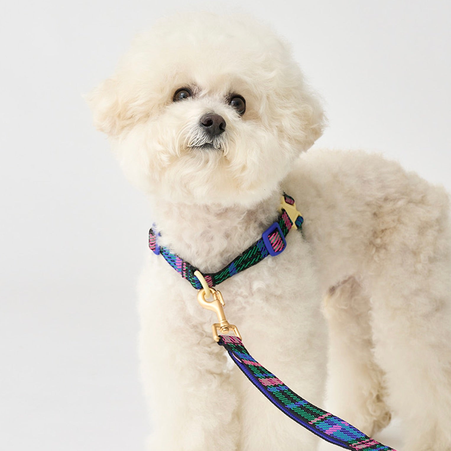 海外犬服 高品質なインポートのドッグウェア通販 