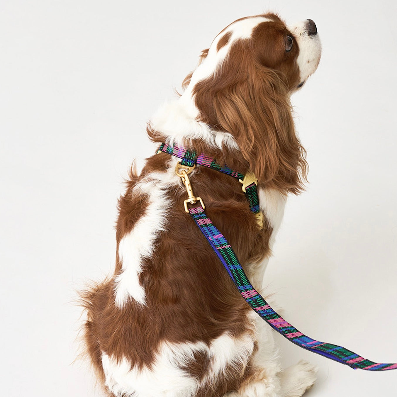 ICANDOR ハーネス リード セット 花柄 海外犬服 高品質なインポートのドッグウェア通販 