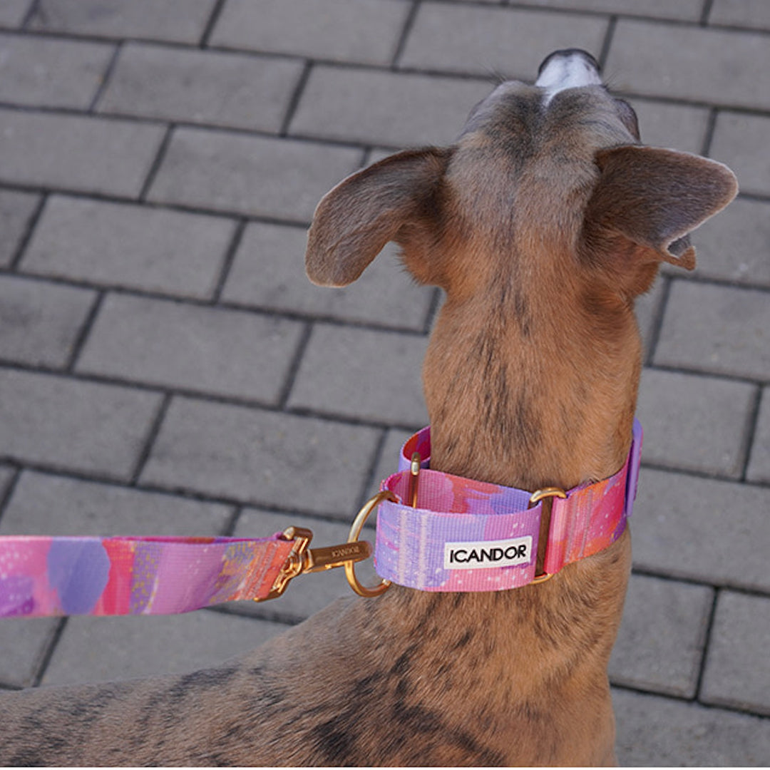 ※予約販売【iCANDOR】Smooth Martingale Collar 38mm（MILKY WAY）