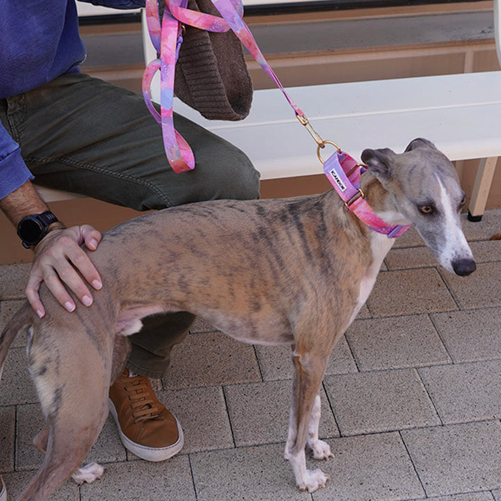 ※予約販売【iCANDOR】Smooth Martingale Collar 38mm（MILKY WAY）