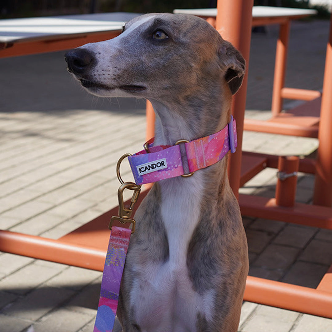 ※予約販売【iCANDOR】Smooth Martingale Collar 38mm（MILKY WAY）