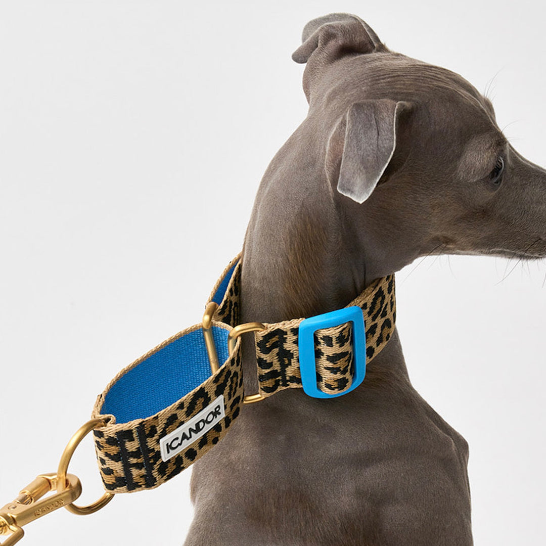 ※予約販売【iCANDOR】Smooth Martingale Collar 38mm（LEOPARD）