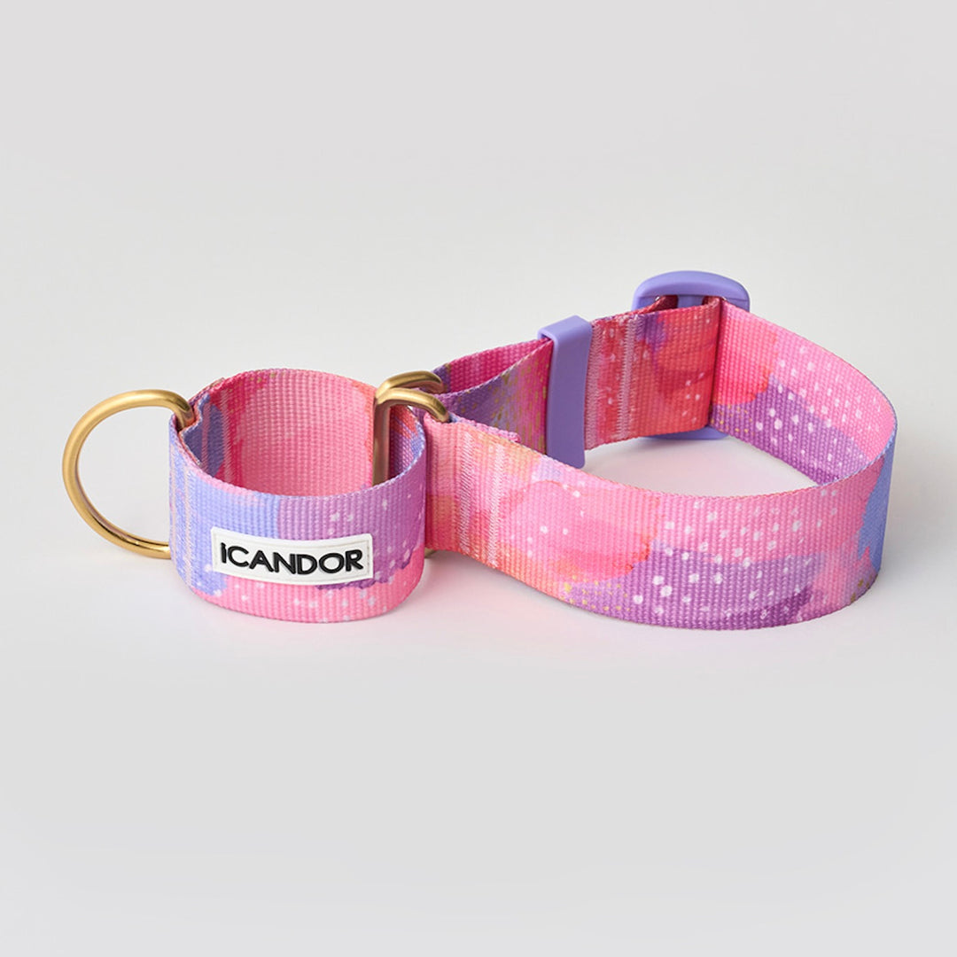 ※予約販売【iCANDOR】Smooth Martingale Collar 38mm（MILKY WAY）