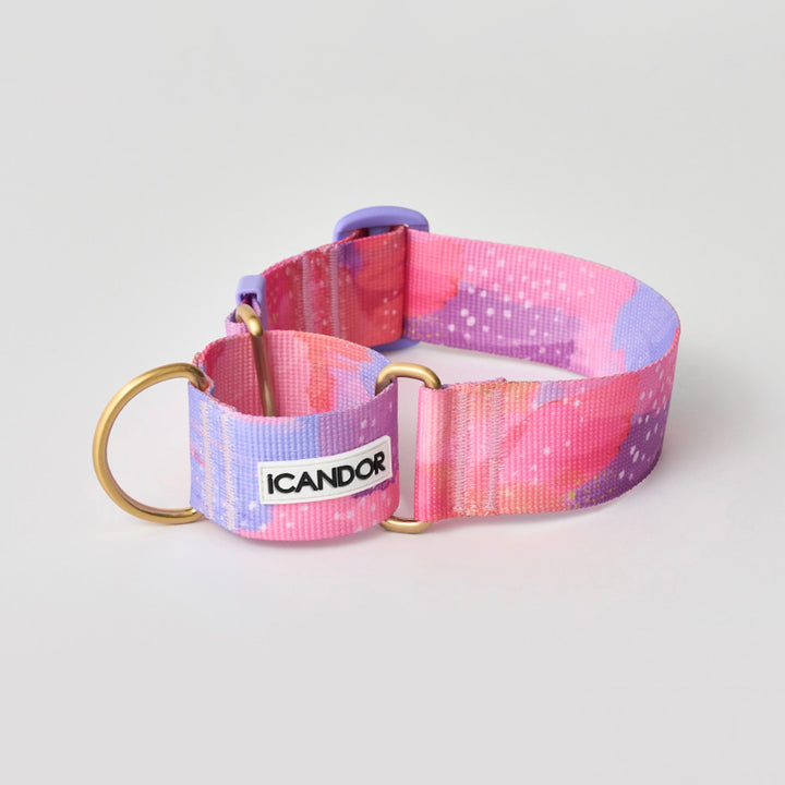 ※予約販売【iCANDOR】Smooth Martingale Collar 38mm（MILKY WAY）