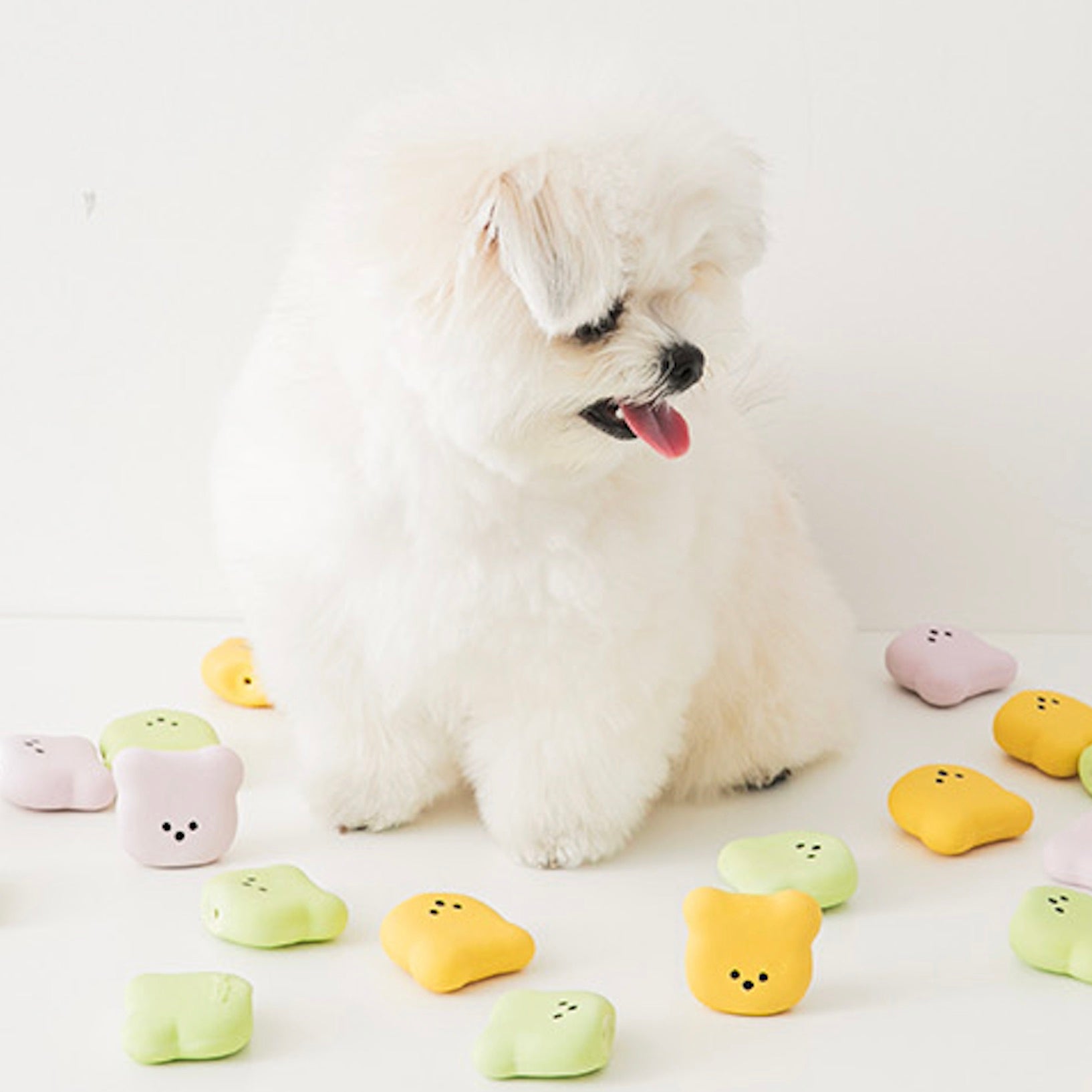 海外犬服 高品質なインポートのドッグウェア通販 