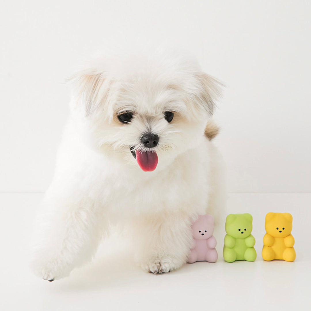 ※予約販売【BITE ME】Little Jelly Bear Latex Toy（3 pcs）