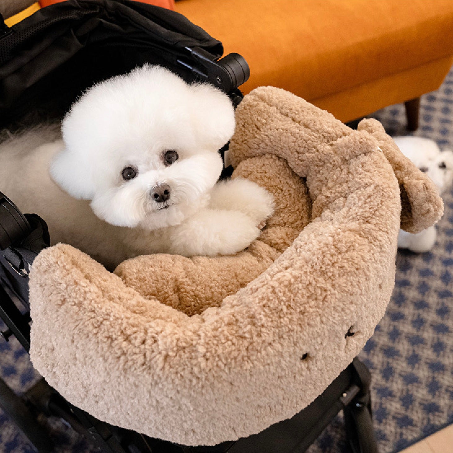海外犬服 高品質なインポートのドッグウェア通販 