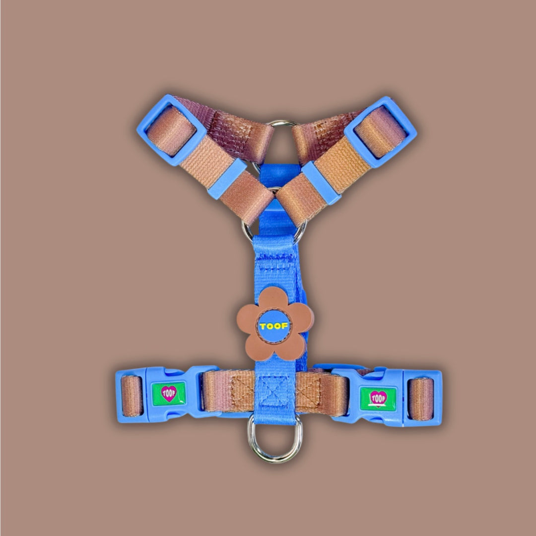 ※予約販売【TOOF】Flower Logo H Harness（Blue/Brown）