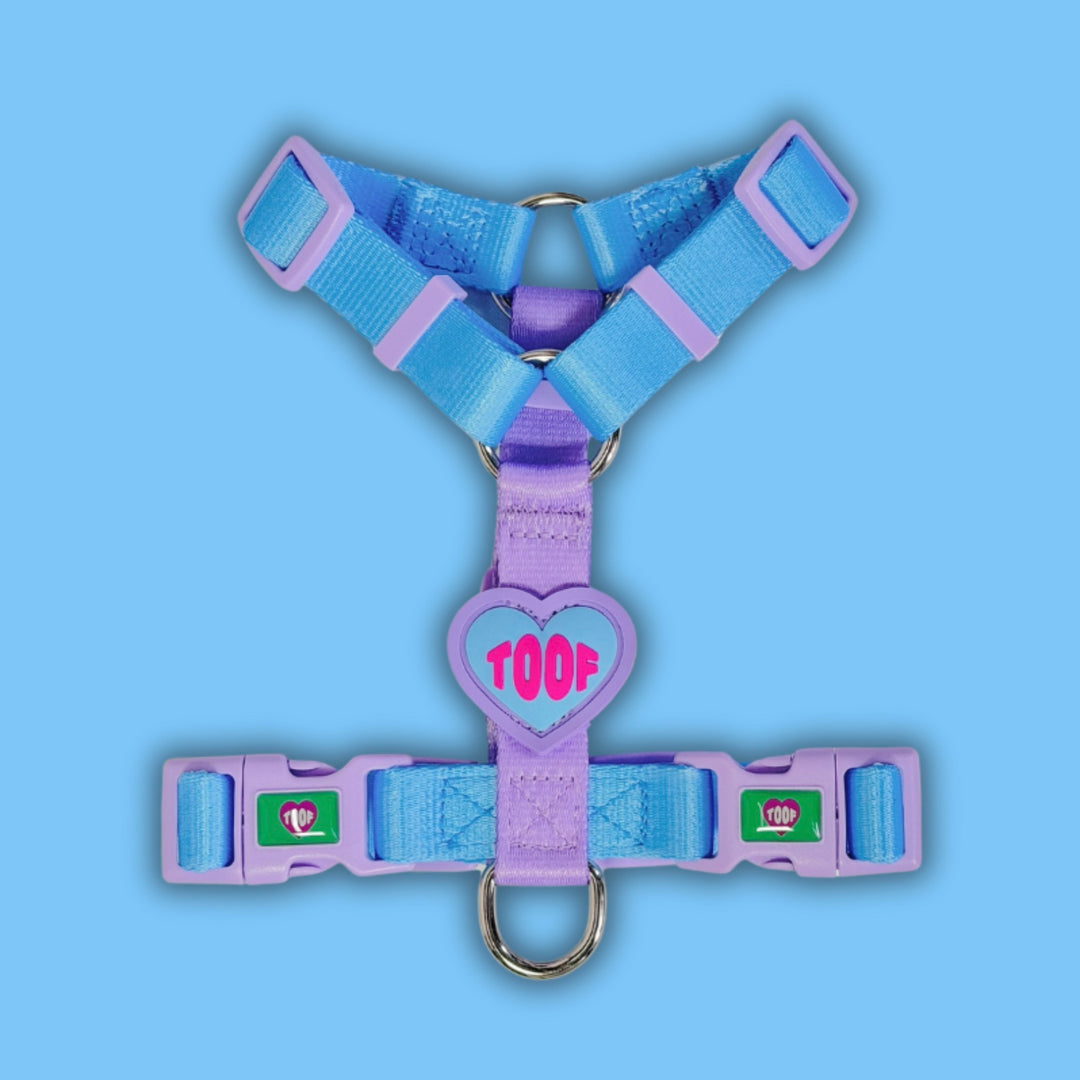 ※予約販売【TOOF】HEART LOGO BUCKEL HARNESS（BLUE/PURPLE）