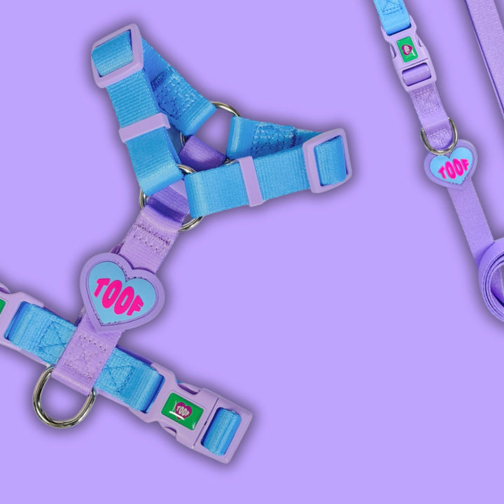 ※予約販売【TOOF】HEART LOGO BUCKEL HARNESS（BLUE/PURPLE）