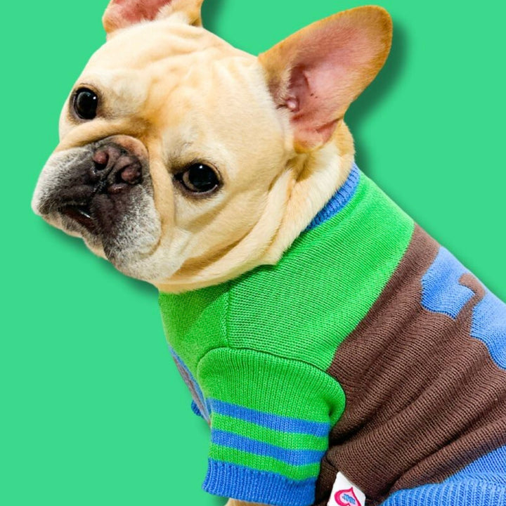 ※予約販売【TOOF】SPORTY VARSITY SWEATER（GREEN/BROWN/BLUE）