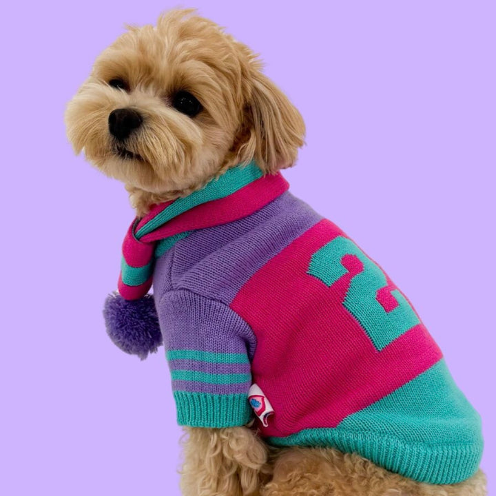 ※予約販売【TOOF】SPORTY VARSITY SWEATER（PINK/PURPLE/TURQUOISE）