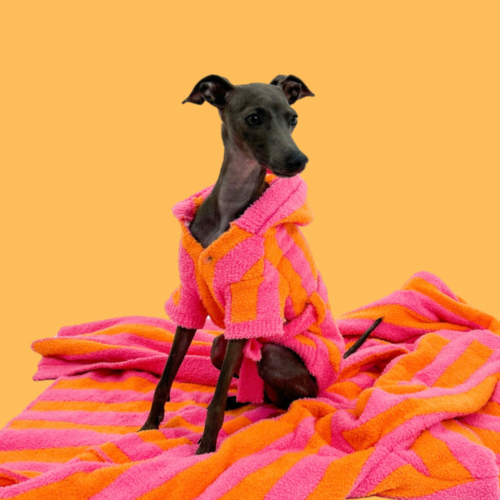 ※予約販売【TOOF】LOLLIPOP PUPPY ROBE（ORANGE/PINK）