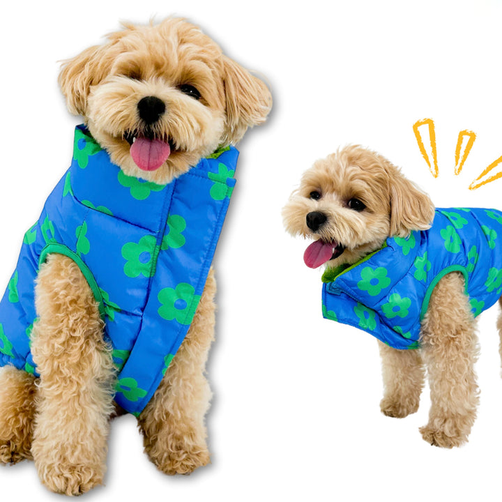 ※予約販売【TOOF】DAISY REVERSIBLE PUFFER（BLUE）