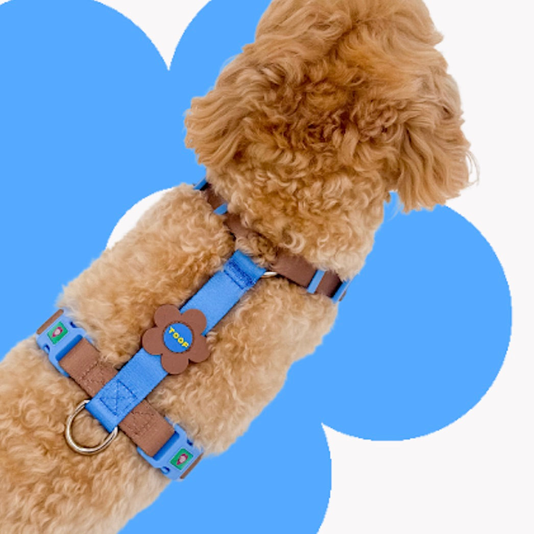 ※予約販売【TOOF】Flower Logo H Harness（Blue/Brown）