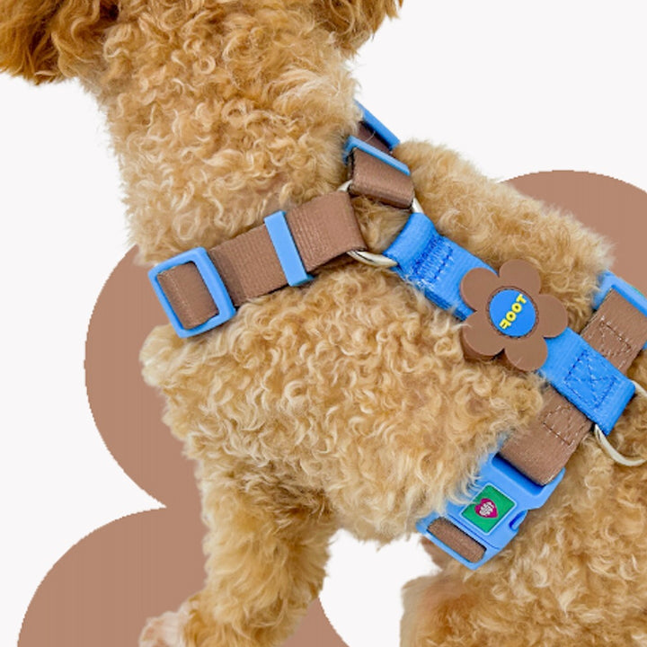 ※予約販売【TOOF】Flower Logo H Harness（Blue/Brown）