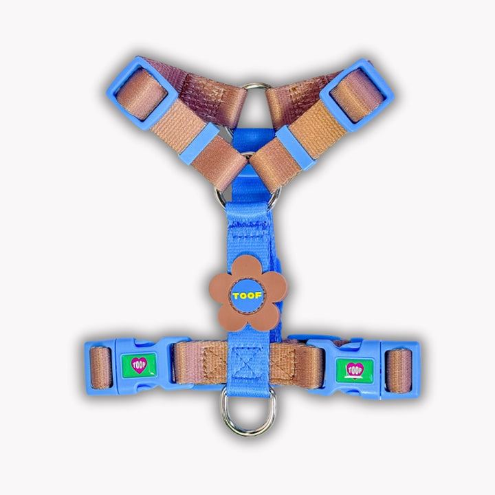 ※予約販売【TOOF】Flower Logo H Harness（Blue/Brown）