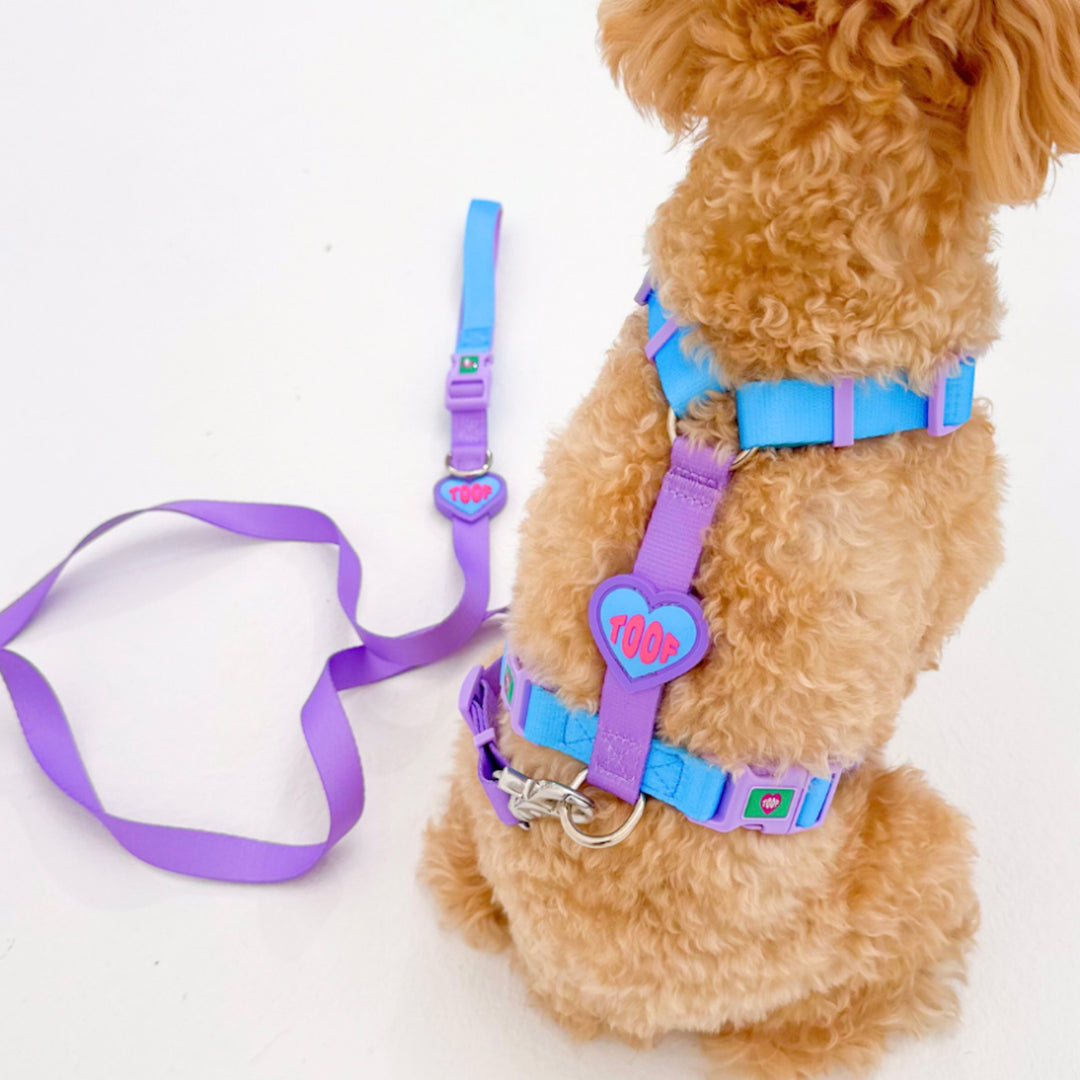 ※予約販売【TOOF】HEART LOGO BUCKEL LEASH（BLUE/PURPLE）