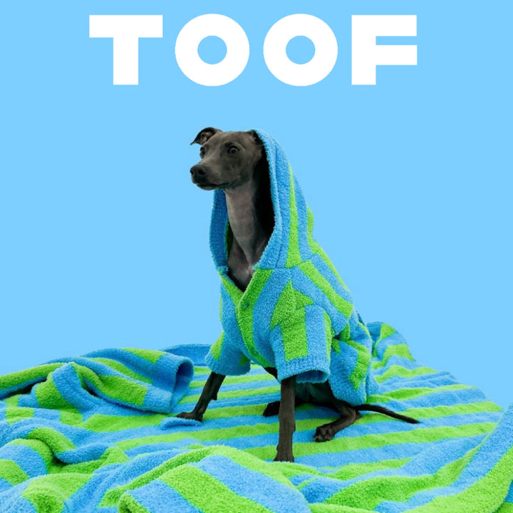 ※予約販売【TOOF】LOLLIPOP PUPPY ROBE（GREEN/BLUE）