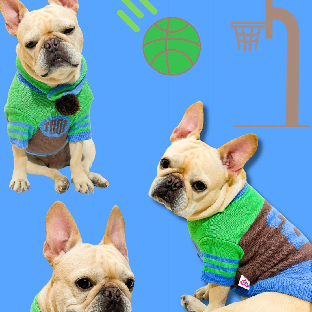 ※予約販売【TOOF】SPORTY VARSITY SWEATER（GREEN/BROWN/BLUE）