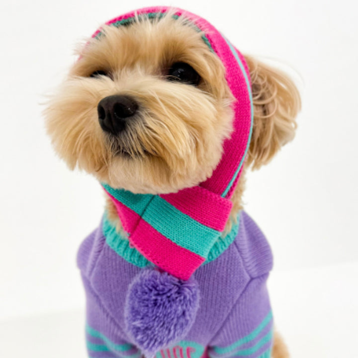 ※予約販売【TOOF】SPORTY VARSITY SWEATER（PINK/PURPLE/TURQUOISE）