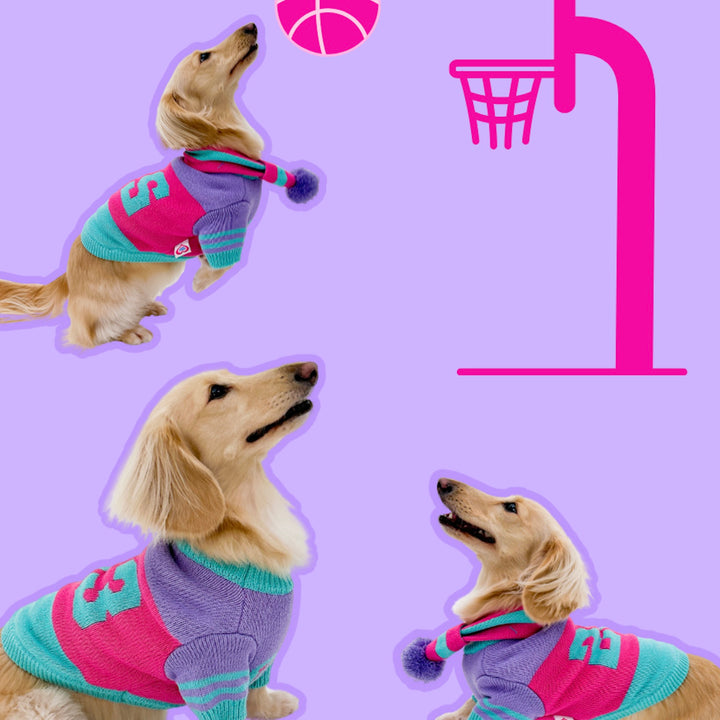 ※予約販売【TOOF】SPORTY VARSITY SWEATER（PINK/PURPLE/TURQUOISE）