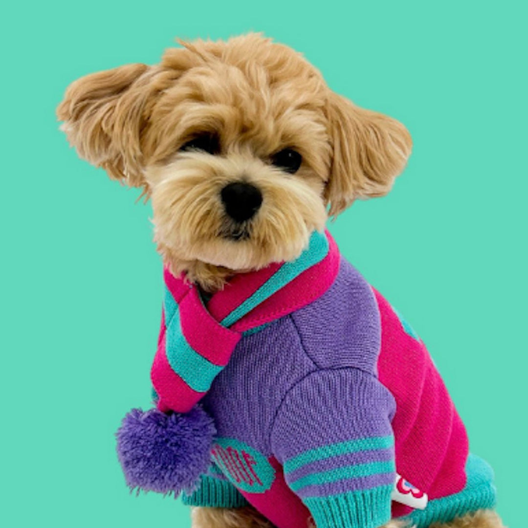 ※予約販売【TOOF】SPORTY VARSITY SWEATER（PINK/PURPLE/TURQUOISE）