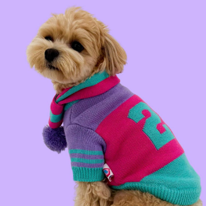 ※予約販売【TOOF】SPORTY VARSITY SWEATER（PINK/PURPLE/TURQUOISE）