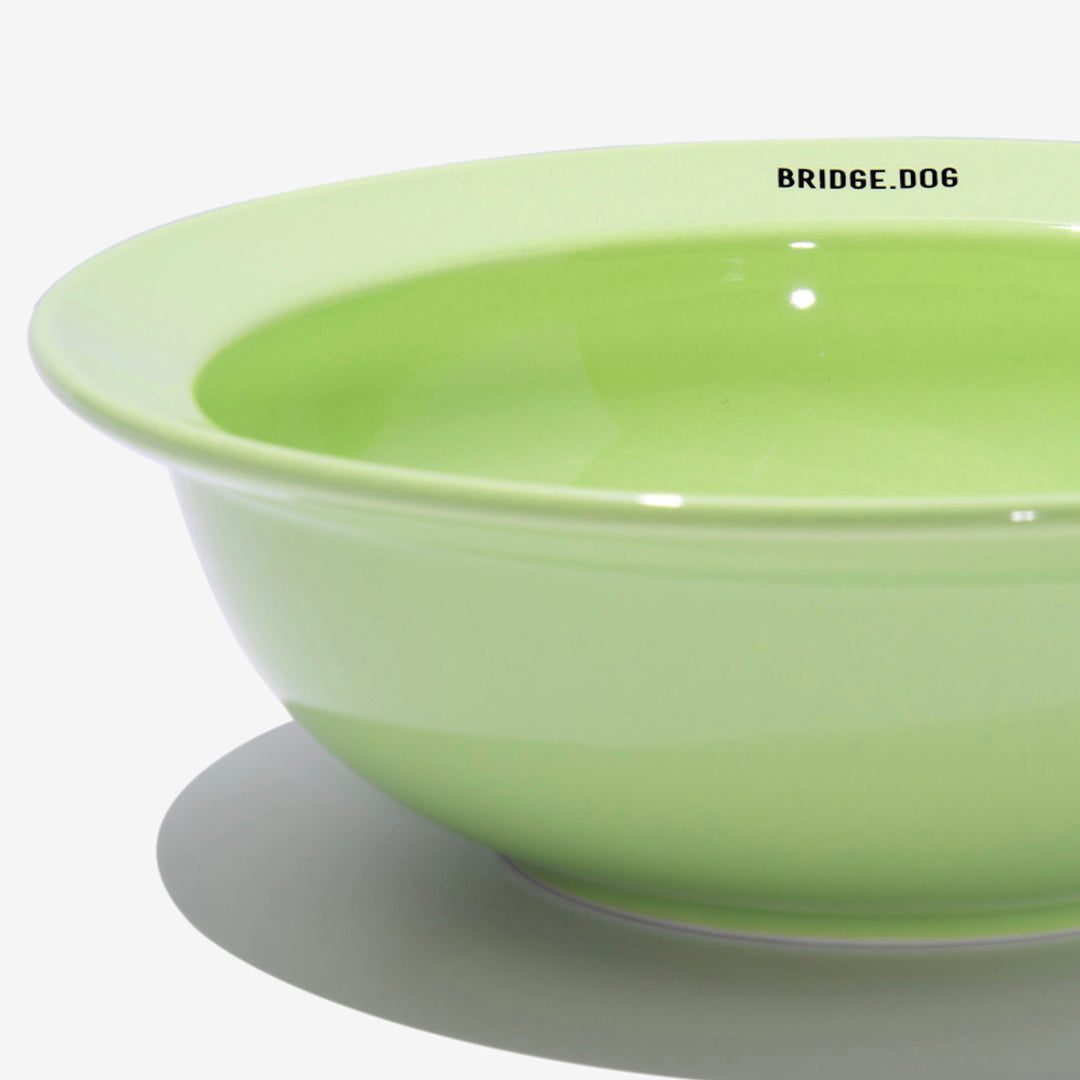 ※予約販売【BRIDGE.DOG】BRIDGE BIG DISH（BABY GREEN）艶あり