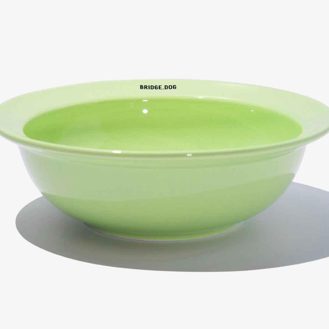 ※予約販売【BRIDGE.DOG】BRIDGE BIG DISH（BABY GREEN）艶あり