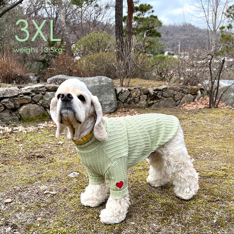 ※予約販売【OOPS! MY DOG】Cable Knit T(Green)
