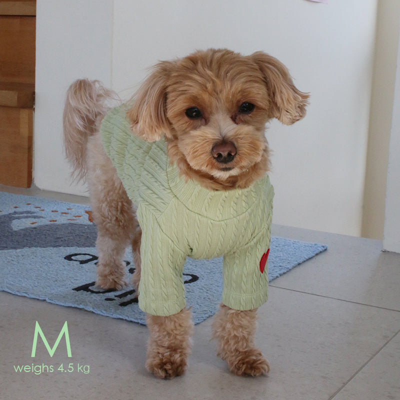 ※予約販売【OOPS! MY DOG】Cable Knit T(Green)