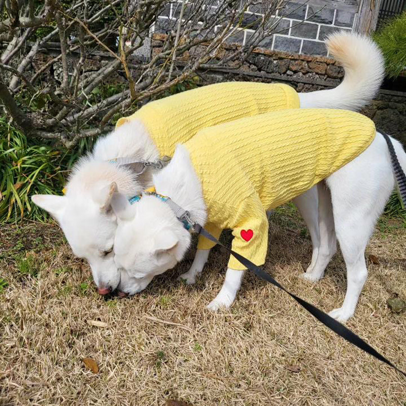 ※予約販売【OOPS! MY DOG】Cable Knit T(Yellow)