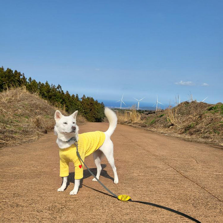 ※予約販売【OOPS! MY DOG】Cable Knit T(Yellow)