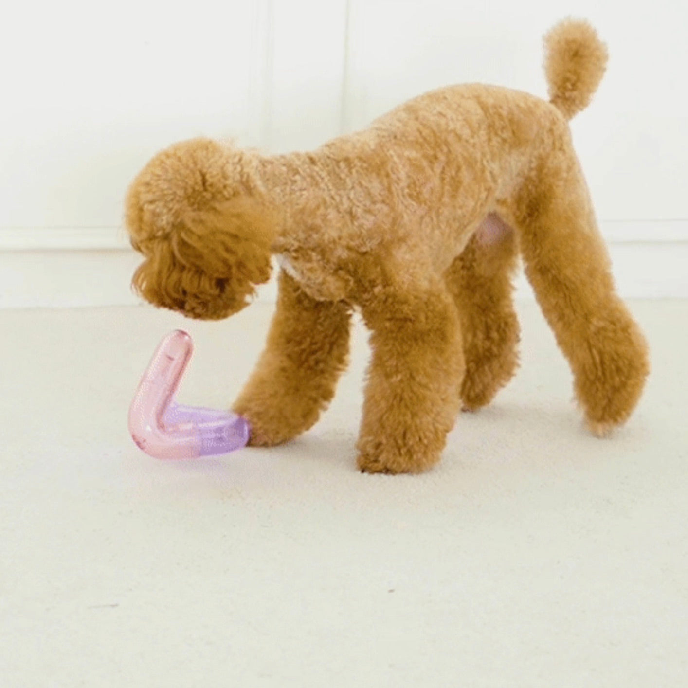 NEIGHBORHOOD DOG TRAVEL BOTTLE 25SS 国内正規 海外犬服 高品質なインポートのドッグウェア通販 