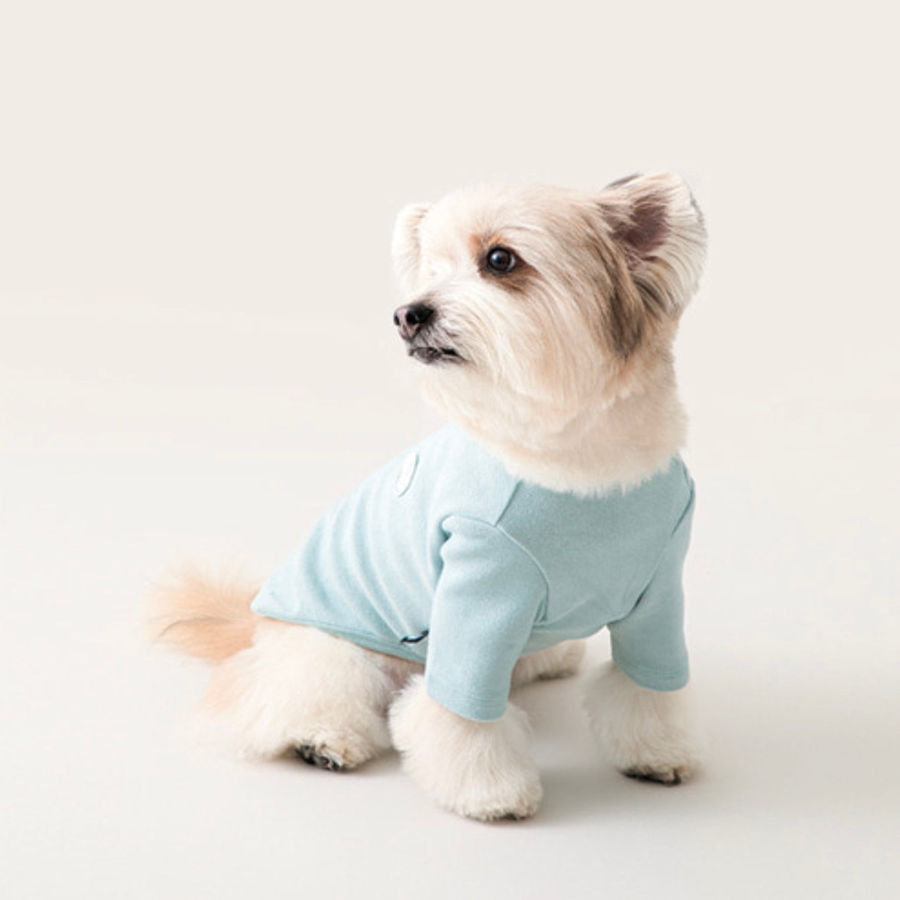 海外犬服 高品質なインポートのドッグウェア通販 