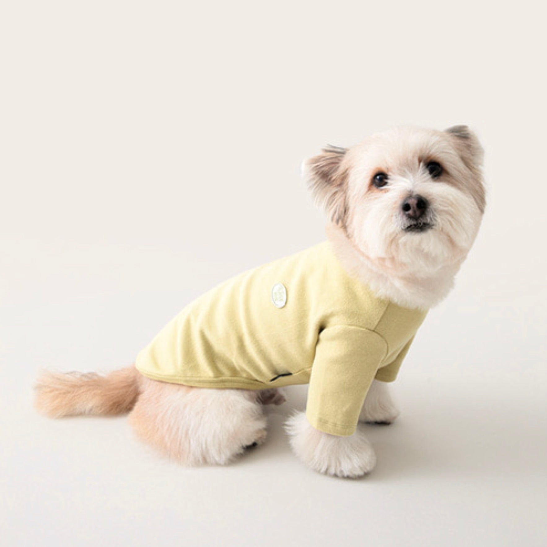 海外犬服 高品質なインポートのドッグウェア通販 