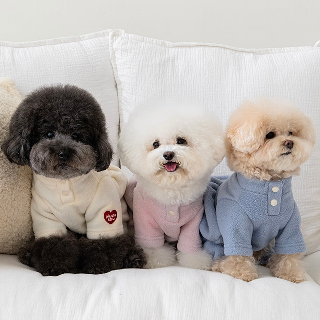 海外犬服 高品質なインポートのドッグウェア通販 