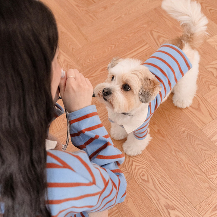 ※予約販売【noutti】MERCI STRIPE T-SHIRT（Blue）