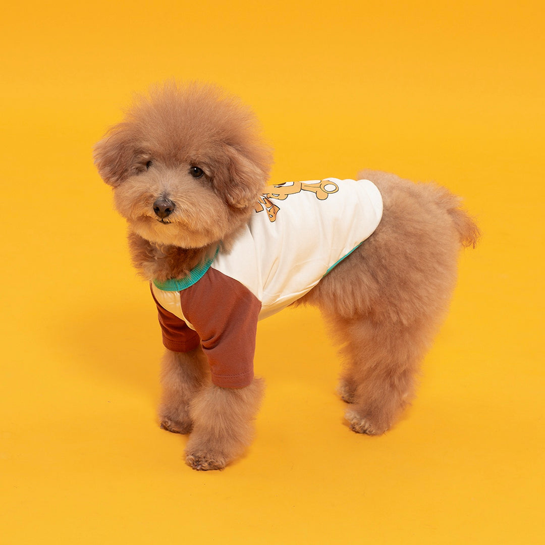 ※予約販売【andblank】Iconic Color Block T-Shirt（Joy Bear）