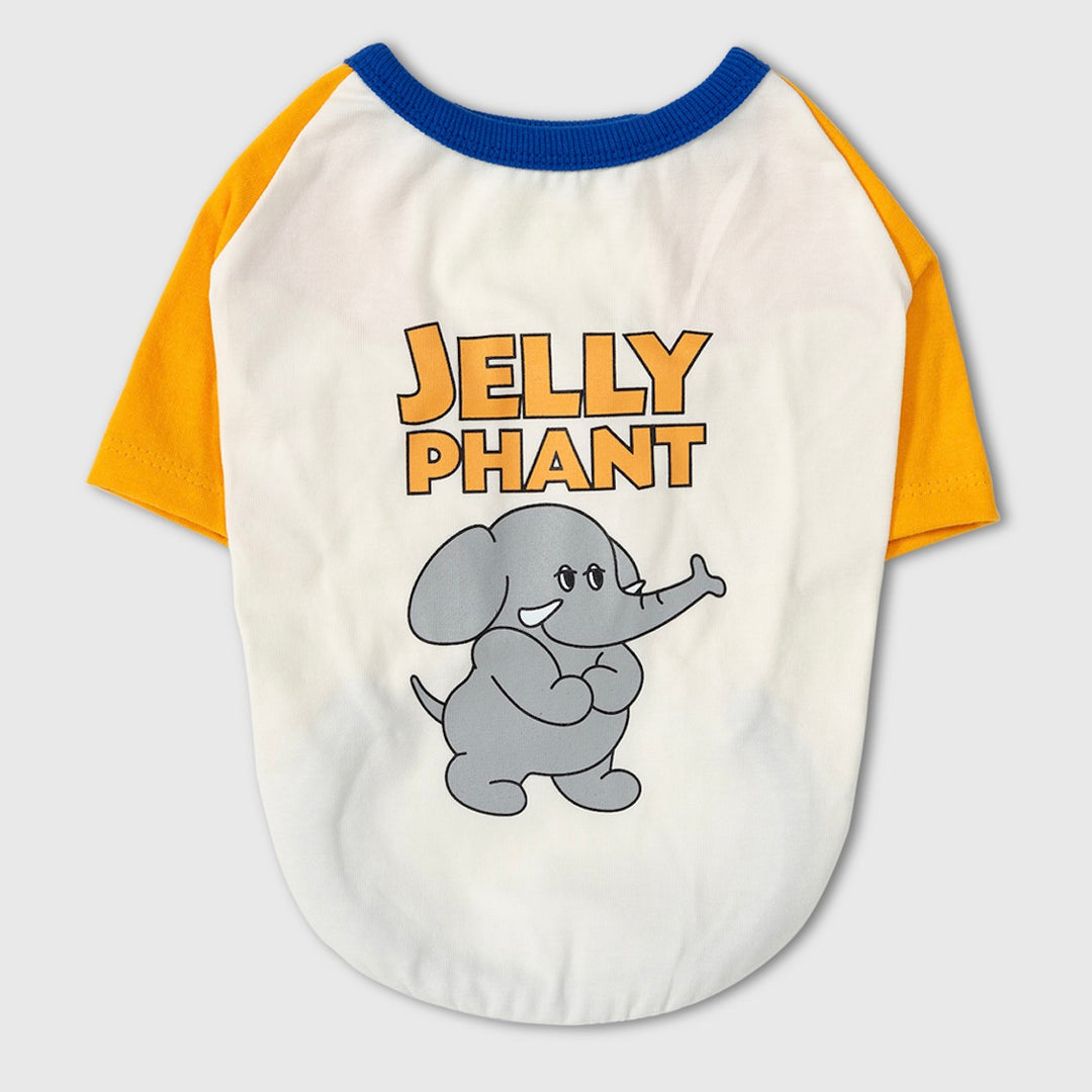 ※予約販売【andblank】Iconic Color Block T-Shirt（Jelly Phant）