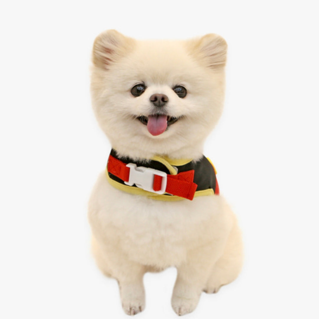 ※予約販売【ITS DOG】Disney Friends Harness