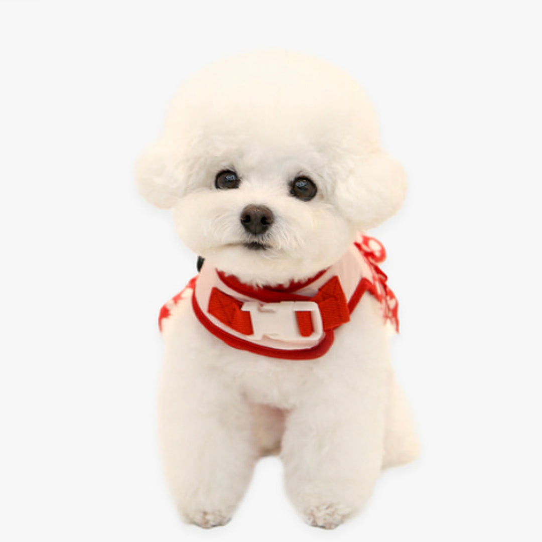 ※予約販売【ITS DOG】Disney Friends Harness