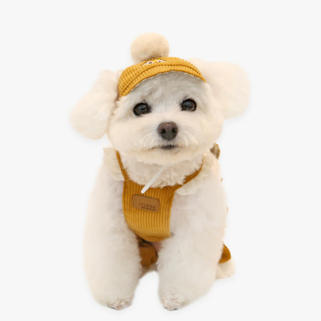 ※予約販売【ITS DOG】Disney chip'n dale corduroy pants (Mustard)