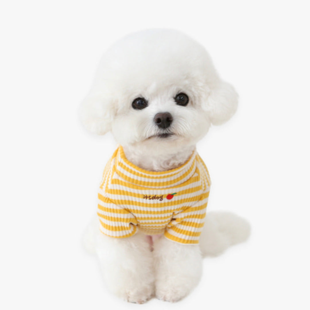 ※予約販売【ITS DOG】Disney chip'n dale ribbed t-shirt(Yellow)