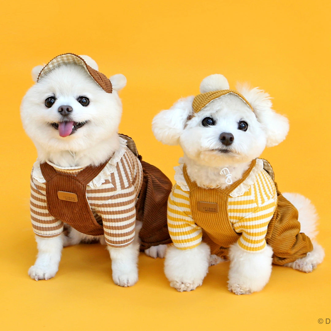 ※予約販売【ITS DOG】Disney chip'n dale corduroy hat(Brown)