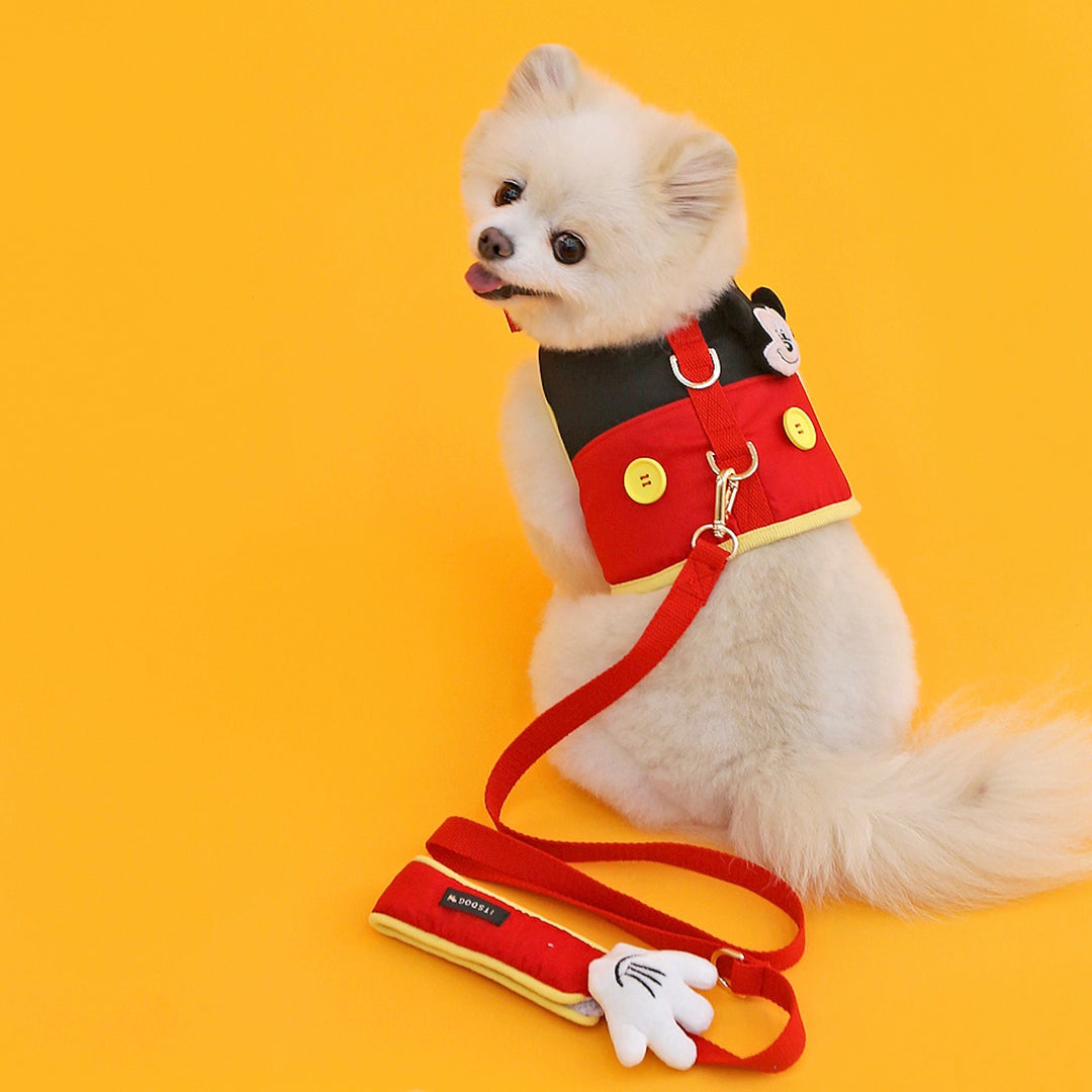 ※予約販売【ITS DOG】Disney Friends Harness