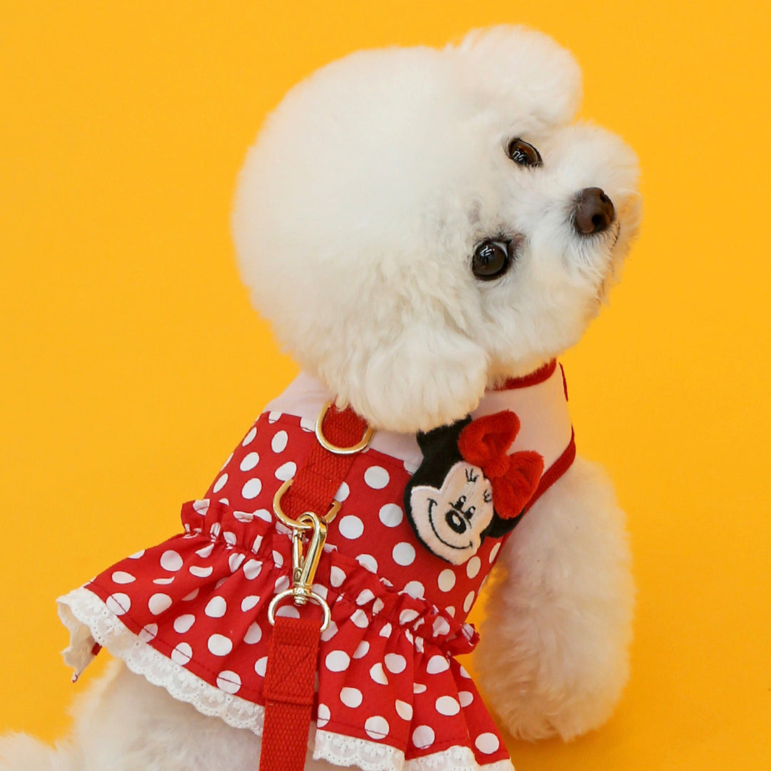 ※予約販売【ITS DOG】Disney Friends Harness