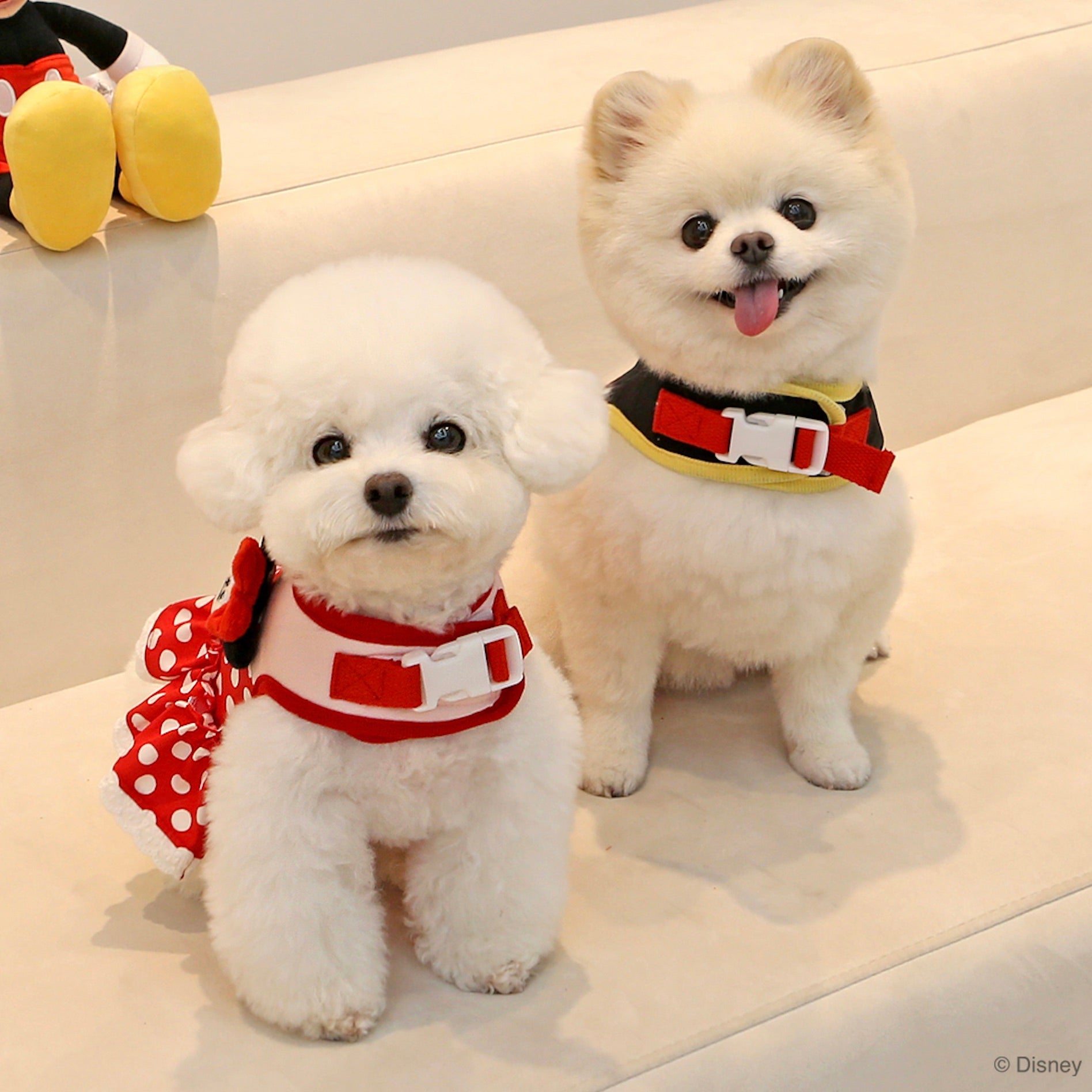 海外犬服 高品質なインポートのドッグウェア通販 