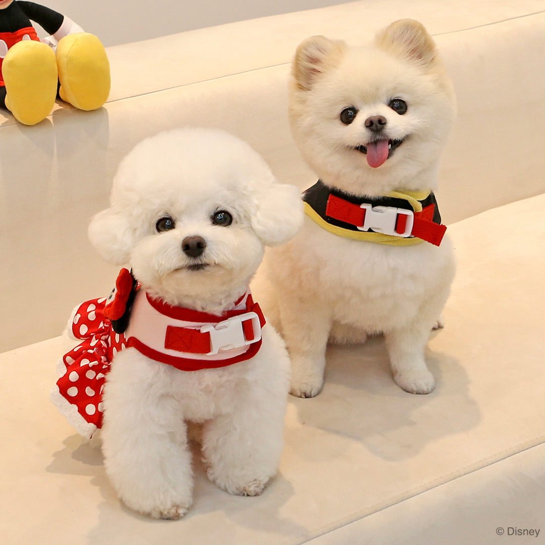 ※予約販売【ITS DOG】Disney Friends Harness